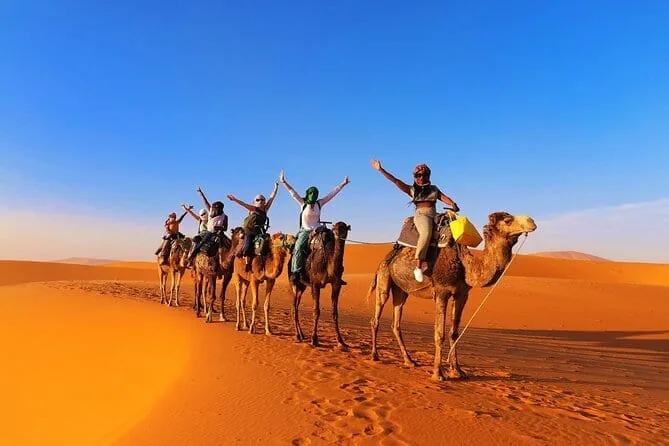 Sahara Camel Trekking Experience activity in Sahara Desert, Algeria - image 1