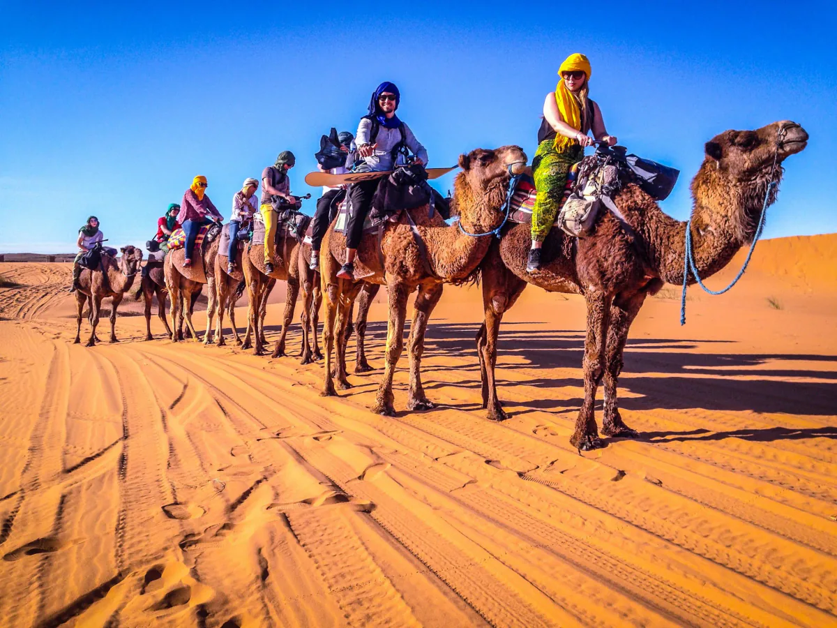 Trekking en camello por el Sahara in Sahara Desert, Algeria