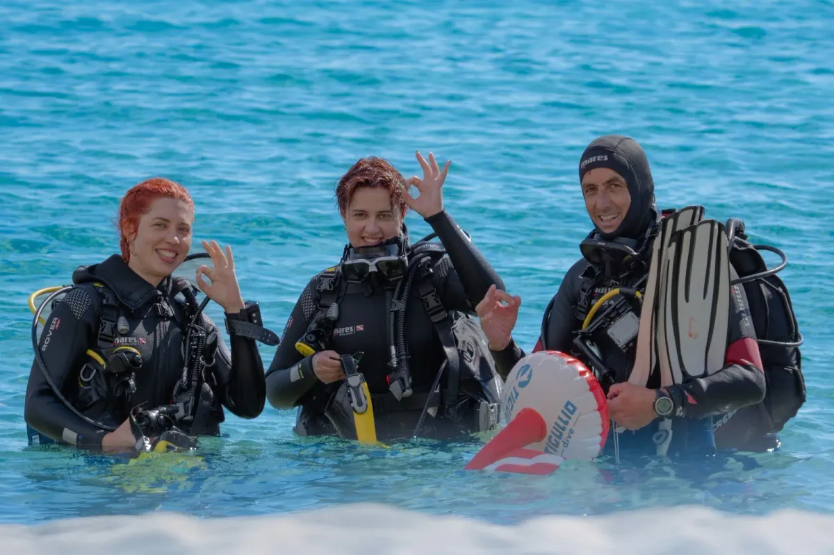 Scuba Diving in Algeria activity in Mediterranean Coast, Algeria - image 1