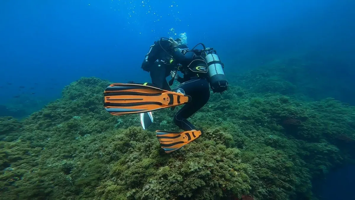 Scuba Diving in Algeria in Mediterranean Coast, Algeria