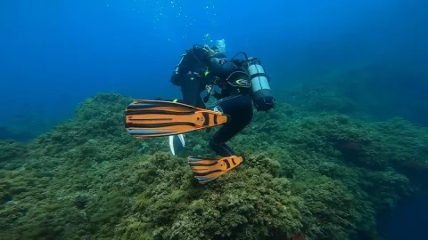 Buceo en Argelia in Mediterranean Coast, Algeria