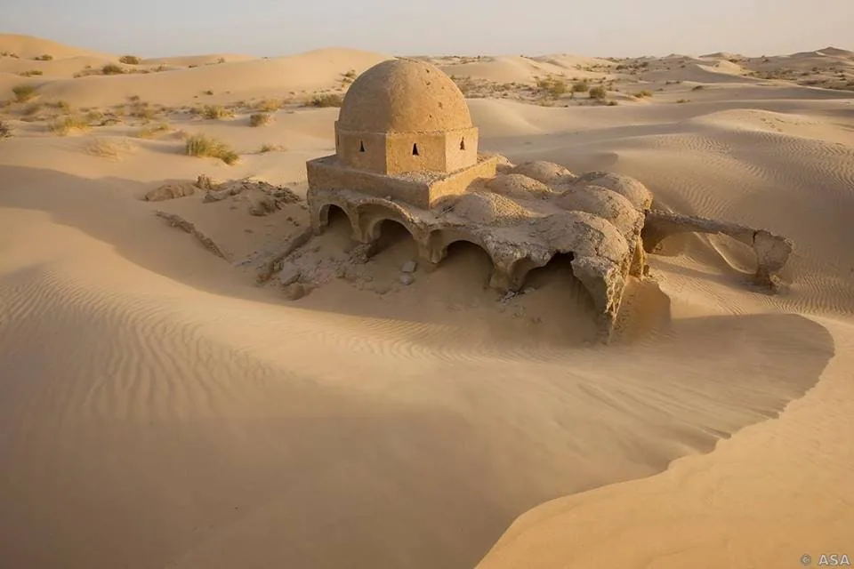 Wüstensafari: El Oueds goldenes Abenteuer