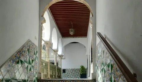 Casbah & Modern Algiers
