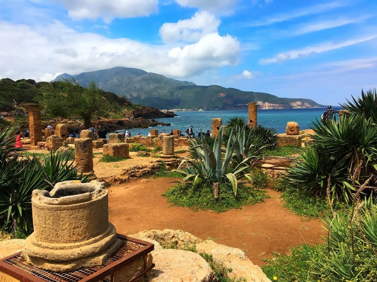 Küstenreise von Algier nach Tipaza - Image 2