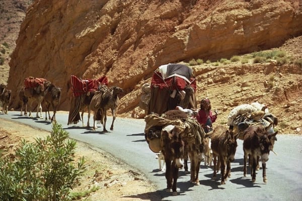 Caminhada nas Montanhas Atlas - Image 2