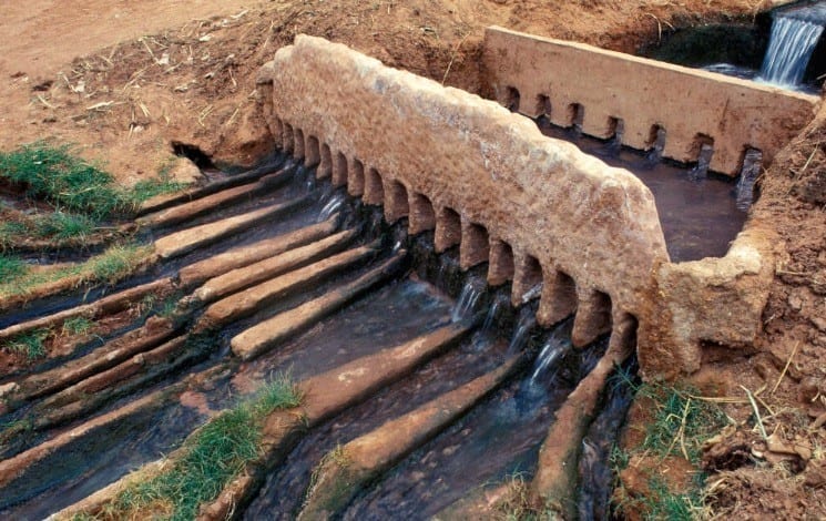 Safári no Deserto Ocidental de Grand Erg - Image 3