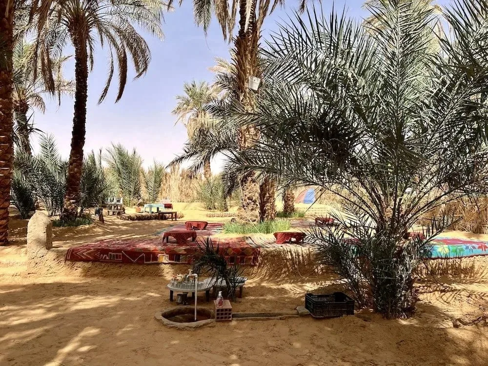 Abenteuer in der Sahara - Image 3
