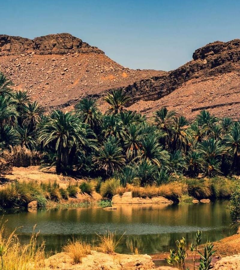 Expedição de arte rupestre Tassili N'Ajjer